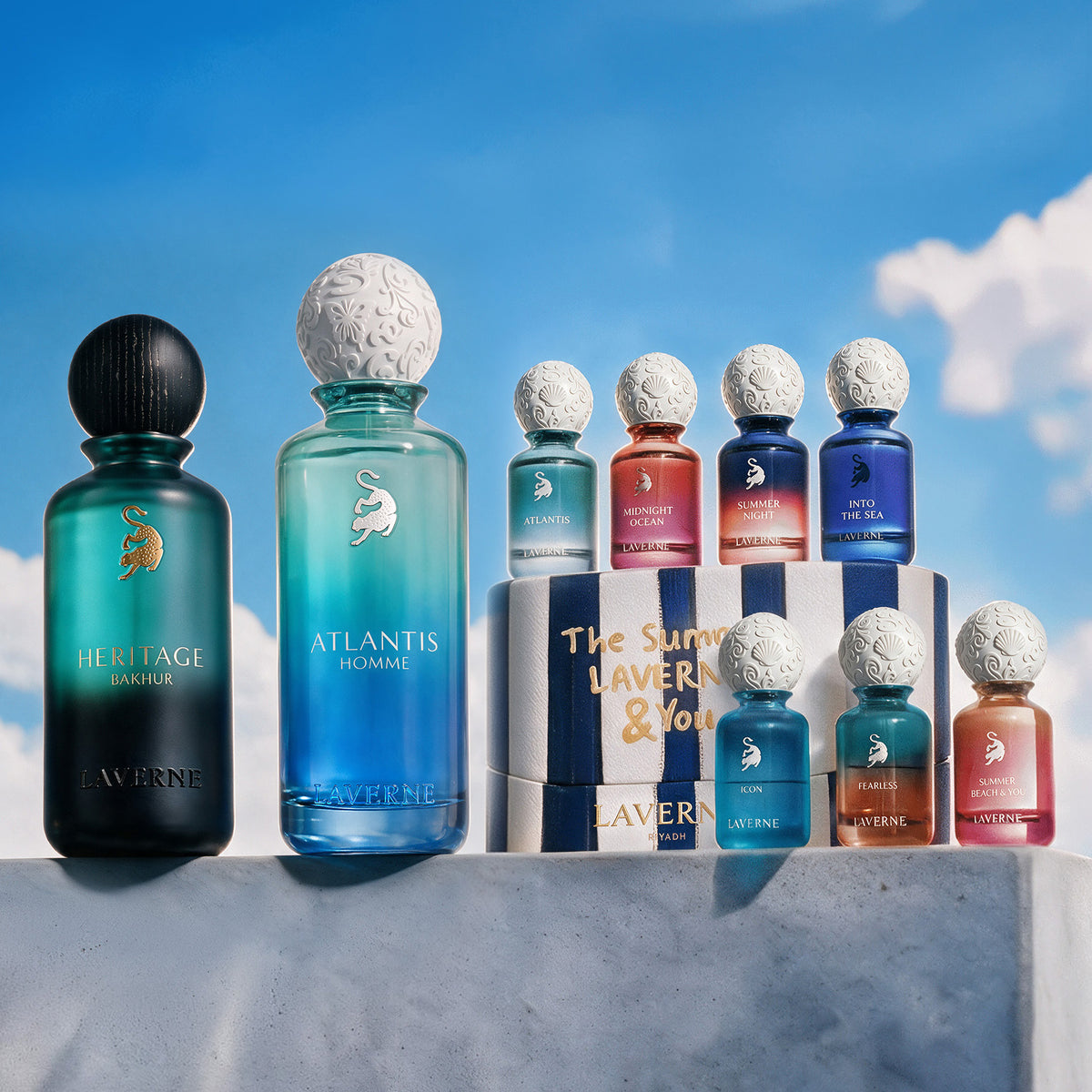 The Warm and Discovery Collection
